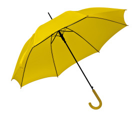 Automatic umbrella, plastic handle